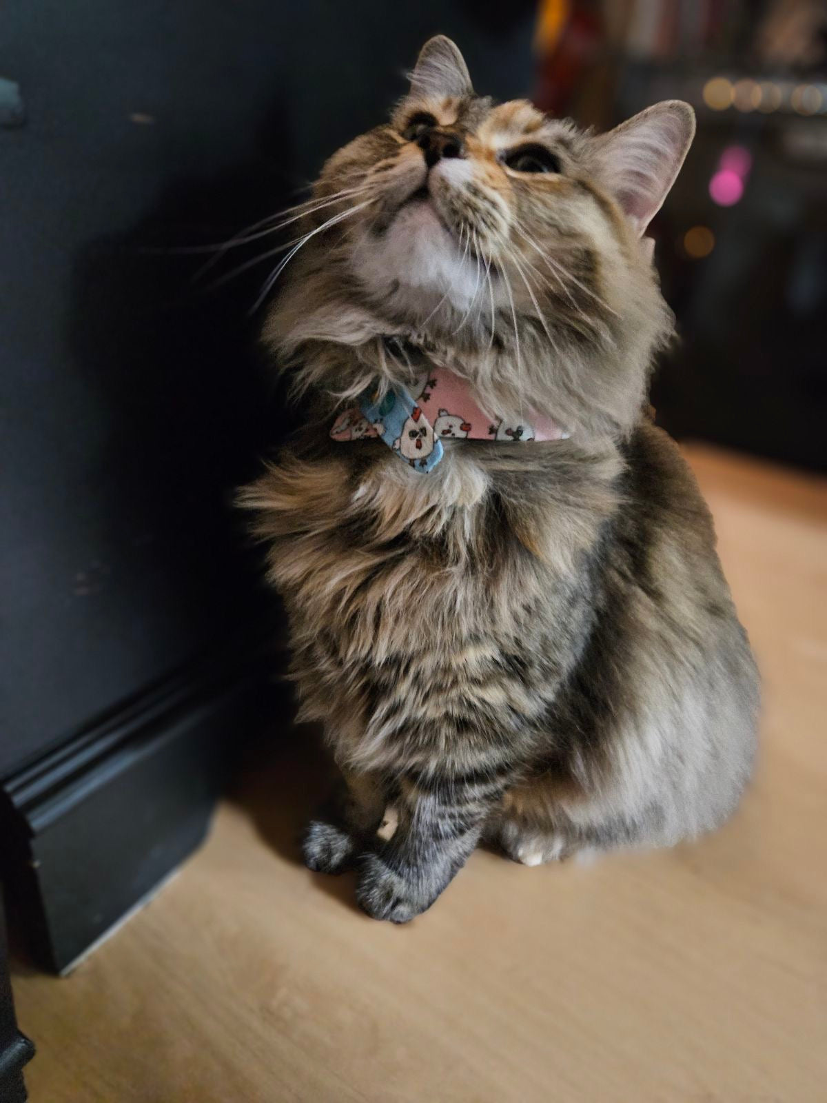 Medium - Teeny Tiny Bandana