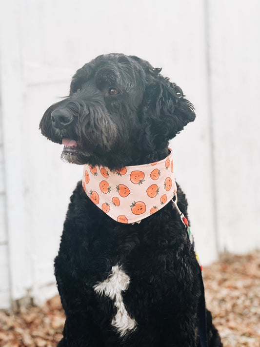 Extra-Large Bandana