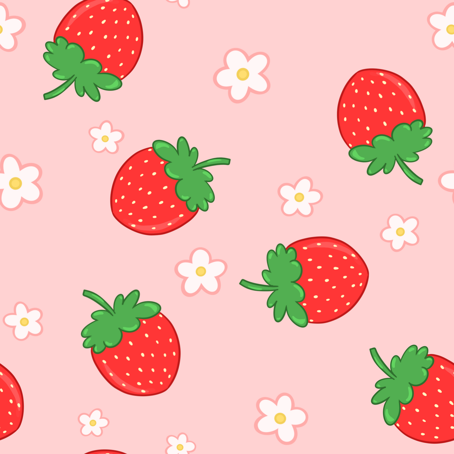 B-Grade Photocard Holders