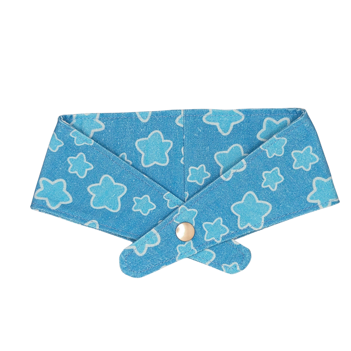 Medium Bandana