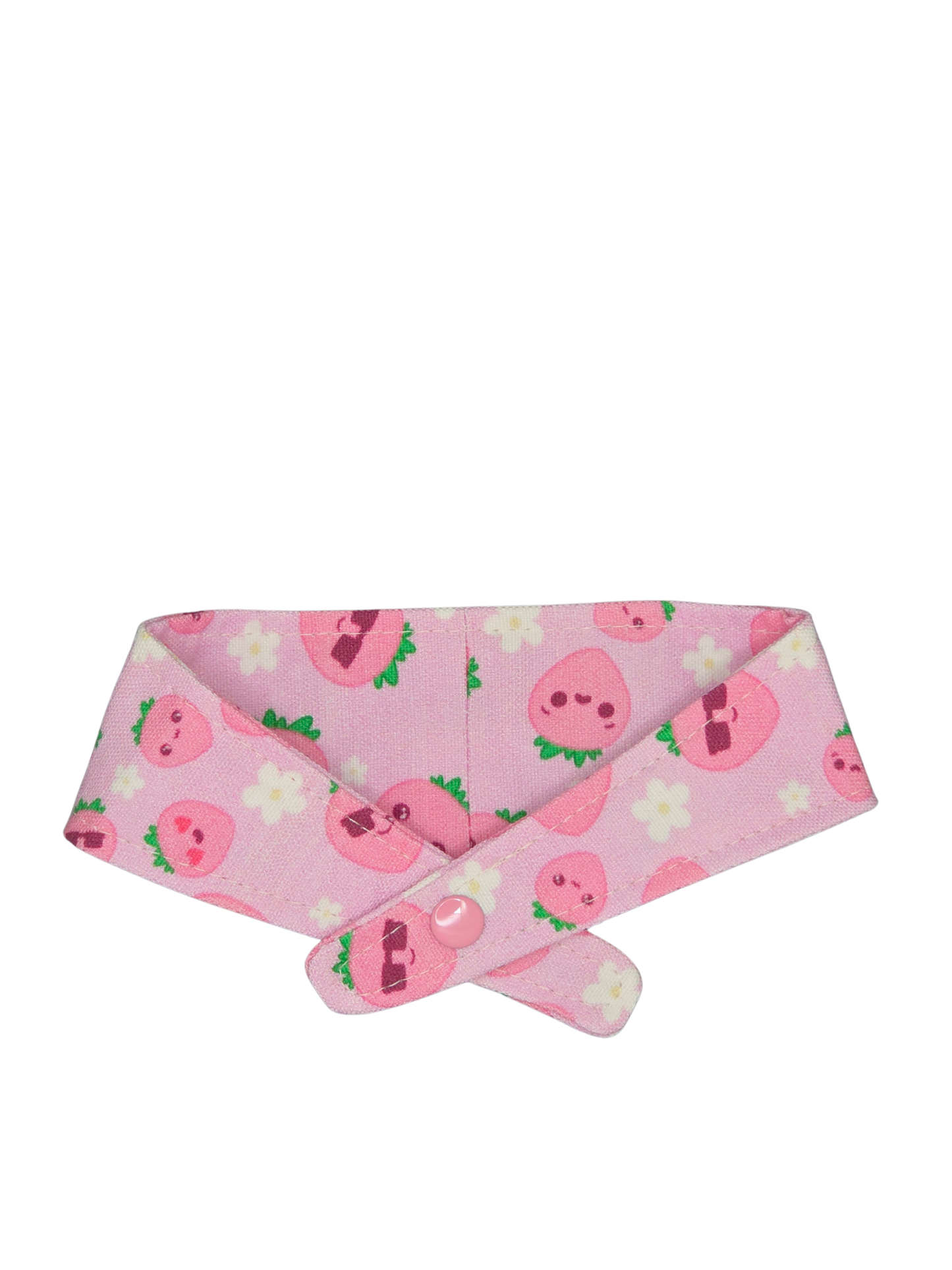 Teeny Tiny Pet Bandanas