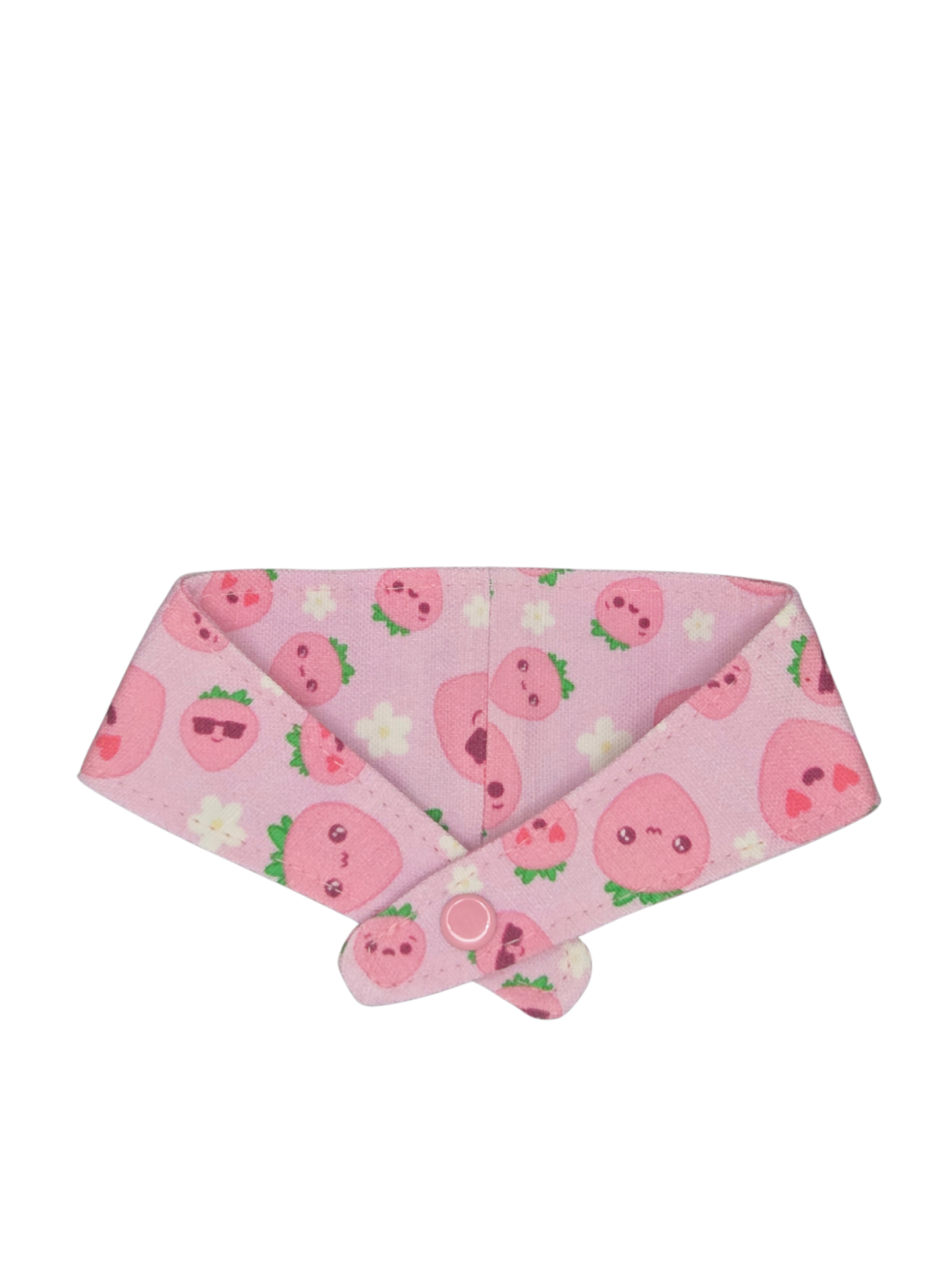 Teeny Tiny Pet Bandanas