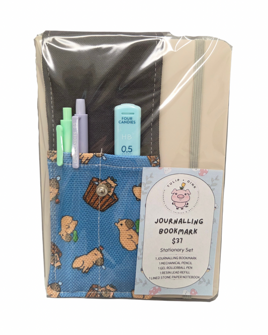 Stationary Set