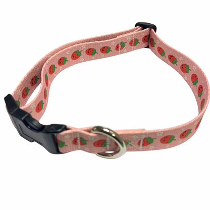 Adjustable Collar