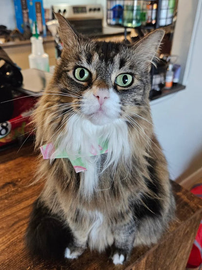 Small - Teeny Tiny Bandana